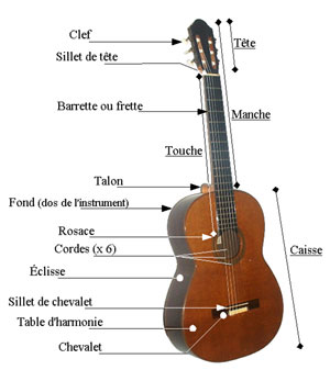 Anatomie de la guitare classique